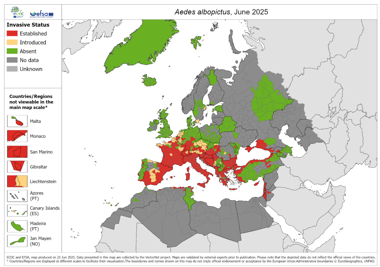🦟 Vector Alert | Autochthonous Chikungunya Case in Hendaye (France ...